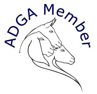 www.adga.org